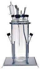 Fermentation vessel 7 liters with working volumes up to 6 liters for lab fermenters and bioreactors Lambda Minifor