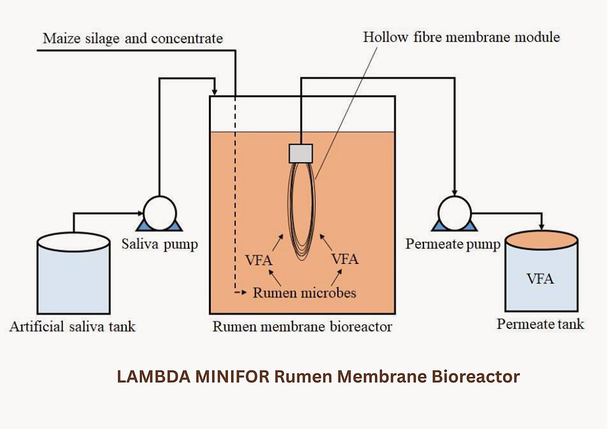 Design of the Rumen Membrane Bioreactor