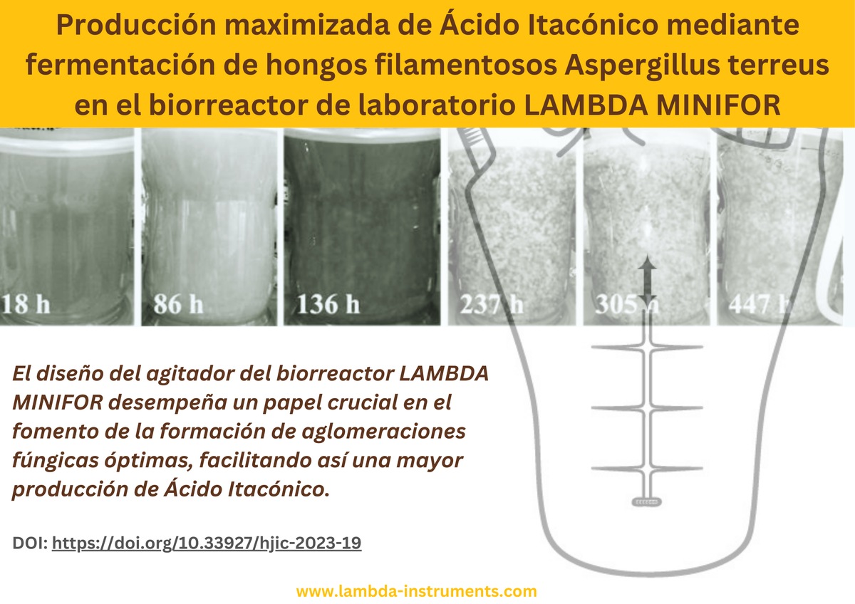 Fermentación del hongo filamentoso Aspergillus terreus en el biorreactor de sobremesa LAMBDA MINIFOR para producir ácido itacónico