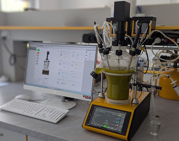 A dual-flow bioreactor system designed for continuous fermentation using the RUSITEC method.
