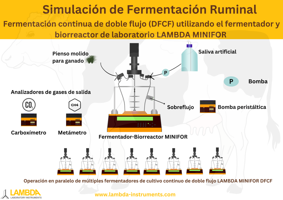 Fermentador y biorreactor LAMBDA MINIFOR para imitar el sistema digestivo de los rumiantes