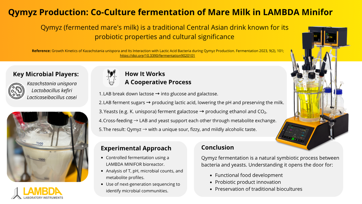 Co-Culture Fermentation of Mare Milk in LAMBDA MINIFOR fermenter and bioreactor LAMBDA MINIFOR fermenter conduct controlled growth and co-culture experiments
